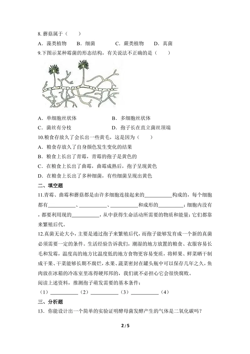 《《真菌》章末测试_初中全科目同步习题+精品试卷（7-9年级）_25秋初中生物《同步习题+精品试卷》_初中生物试卷（冀少版）_《同步练习+教案学案》_八年级上册_第五单元微生物的生活》第2页预览