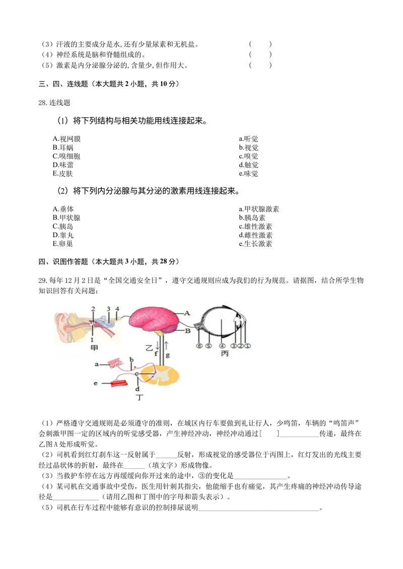 《人教版七年级生物下册第六章《人体生命活动的调节》测试卷(包含答案)_初中全科目同步习题+精品试卷（7-9年级）_25秋初中生物《同步习题+精品试卷》_初中生物试卷（北师大）_单元试卷7B》第3页预览