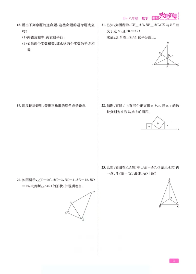 《假期特训·学期总复习八年级数学北师版_初中全科目同步习题+精品试卷（7-9年级）_25秋初中数学《同步习题+精品试卷》_初中数学北师大试卷_上册_《假期特训》》第8页预览
