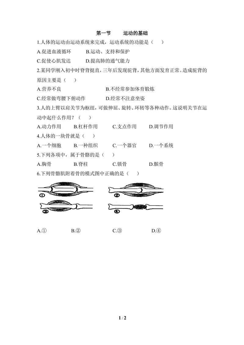 《《运动的基础》能力提升_初中全科目同步习题+精品试卷(7-9年级)_25秋初中生物《同步习题+精品试卷》_初中生物试卷(冀少版)_《同步练习+教案学案》_八年级上册_第四单元动物的生活》第1页预览