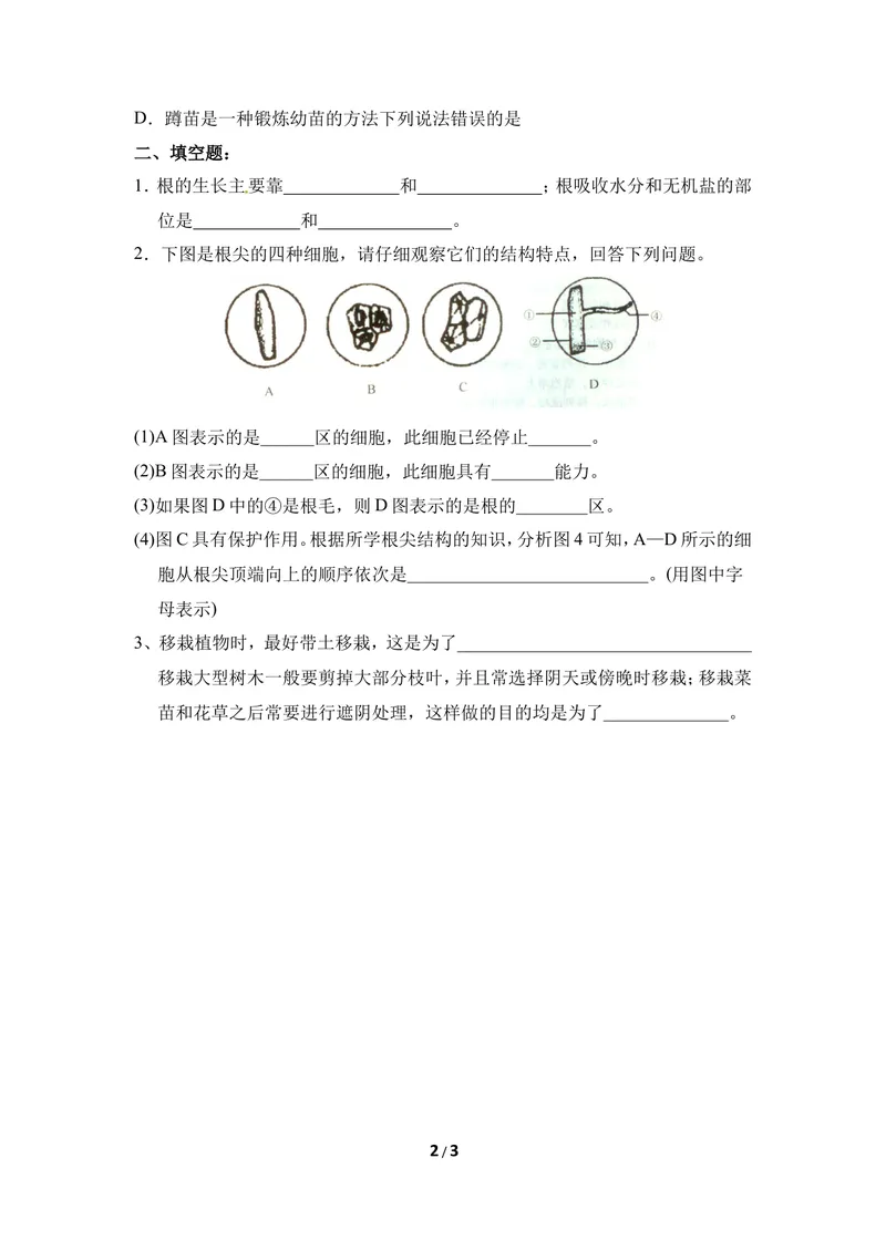 《《根的生长》同步练习_初中全科目同步习题+精品试卷（7-9年级）_25秋初中生物《同步习题+精品试卷》_初中生物试卷（冀少版）_《同步练习+教案学案》_八年级上册_第三单元植物的生活》第2页预览