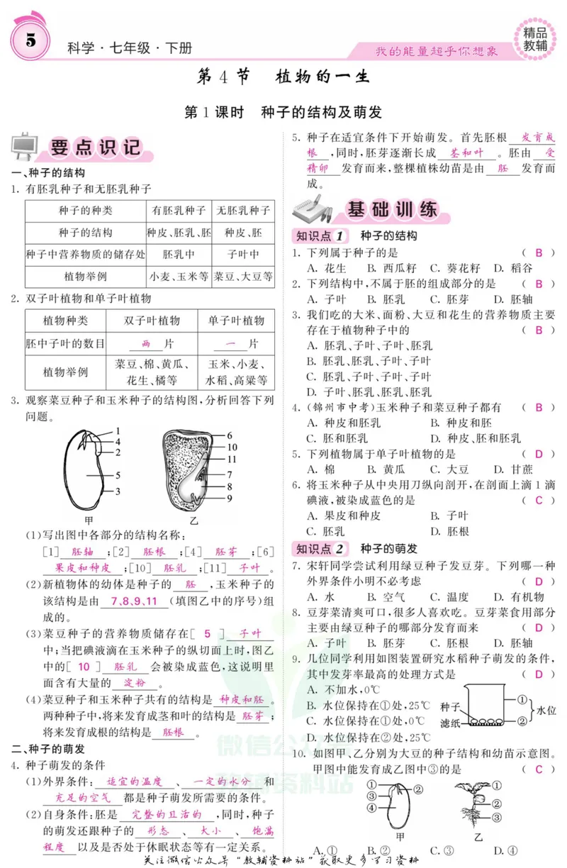 《《课堂内外》七年级下册科学浙教版B本教师用书_初中全科目同步习题+精品试卷（7-9年级）_25秋初中科学《同步习题+精品试卷》_《课堂内外》》第7页预览