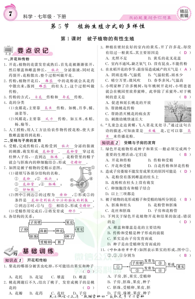 《《课堂内外》七年级下册科学浙教版B本教师用书_初中全科目同步习题+精品试卷（7-9年级）_25秋初中科学《同步习题+精品试卷》_《课堂内外》》第9页预览