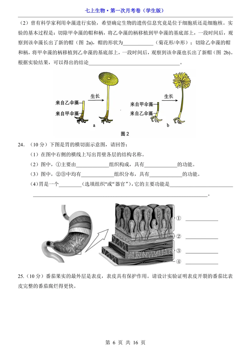 《沪教54第1次月考第1单元_初中全科目《第一次月考试卷》7-9年级上册_2026版初中《第一次月考》7年级上册（八科全套）（人教、北师等多版本）_7年级生物上_沪教54第一次月考》第6页预览