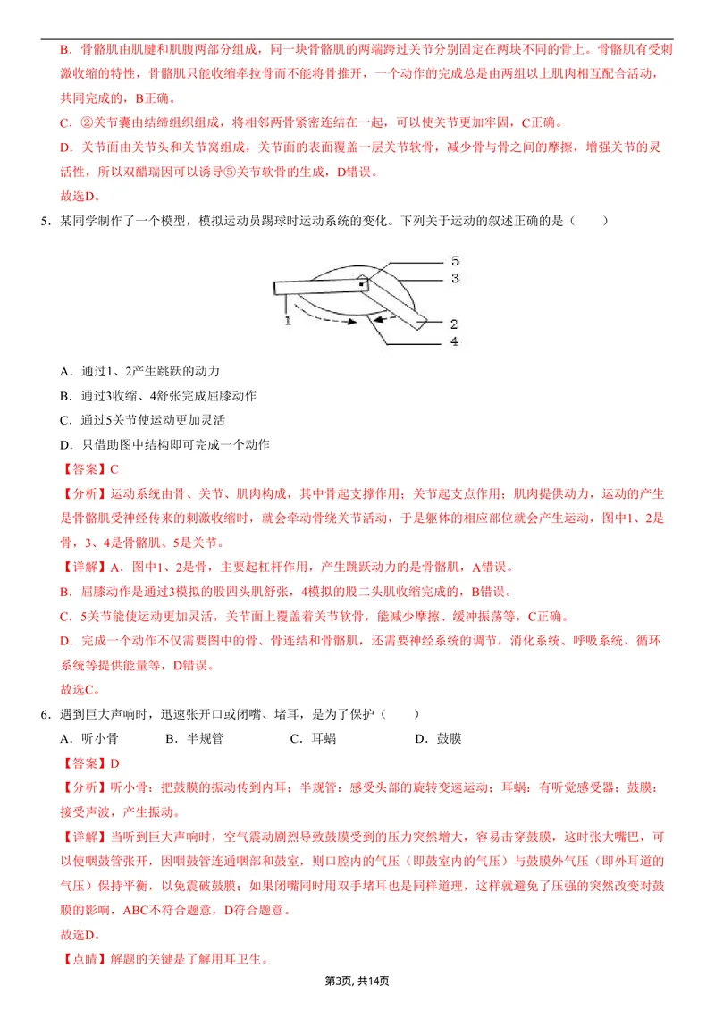 《（人教版）八年级生物上学期第一次月考02（全解全析）（人教版2024）_初中全科目《第一次月考试卷》7-9年级上册_2026版初中《第一次月考》8年级上册（七科全套）（人教、北师等多版本）》第3页预览