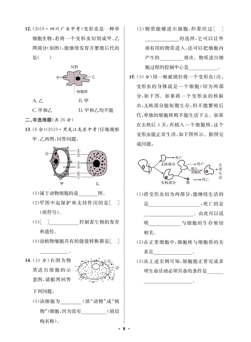 《一卷好题·七年级上册生物北师版·夹册_初中全科目同步习题+精品试卷（7-9年级）_25秋初中生物《同步习题+精品试卷》_初中生物试卷（北师大）_《一卷好题》》第10页预览