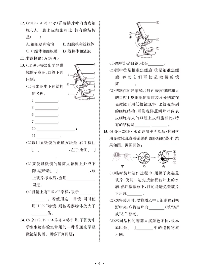 《一卷好题·七年级上册生物北师版·夹册_初中全科目同步习题+精品试卷（7-9年级）_25秋初中生物《同步习题+精品试卷》_初中生物试卷（北师大）_《一卷好题》》第8页预览
