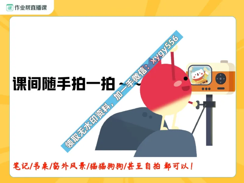 《03.课堂笔记主讲课中笔记_2025初一网课_25初一语文_25初一董俣语文（作业帮）_暑期班A+班_课堂笔记》第2页预览