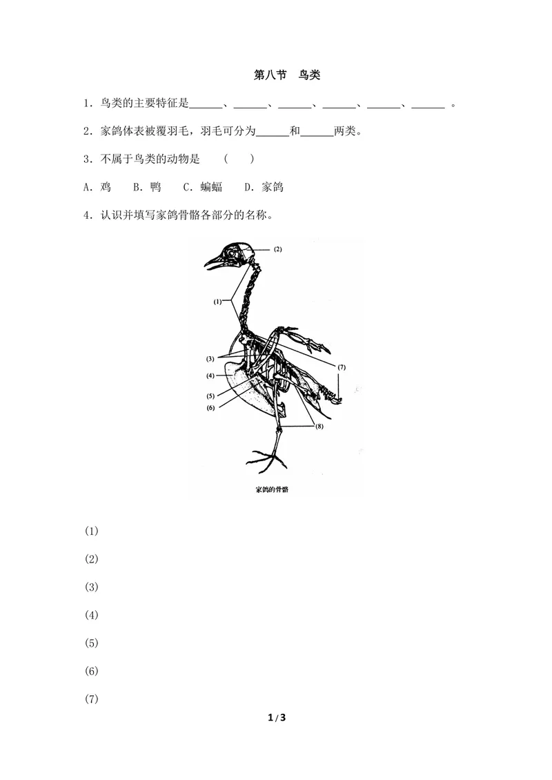 《《鸟类》基础训练_初中全科目同步习题+精品试卷(7-9年级)_25秋初中生物《同步习题+精品试卷》_初中生物试卷(冀少版)_《同步练习+教案学案》_七年级上册_第四章多种多样的动物》第1页预览
