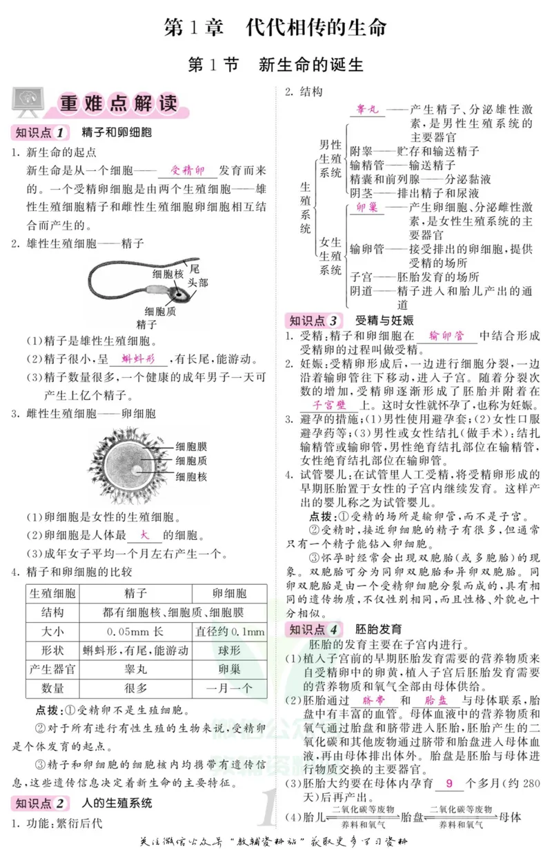 《《课堂内外》七年级下册科学浙教版小册子教师用书_初中全科目同步习题+精品试卷（7-9年级）_25秋初中科学《同步习题+精品试卷》_《课堂内外》》第4页预览