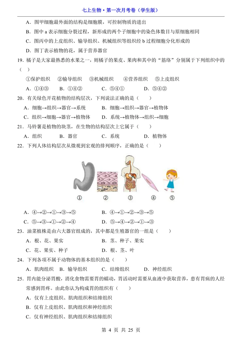 《冀少第1次月考第1-2章_初中全科目《第一次月考试卷》7-9年级上册_2026版初中《第一次月考》7年级上册（八科全套）（人教、北师等多版本）_7年级生物上_冀少版第一次月考》第4页预览