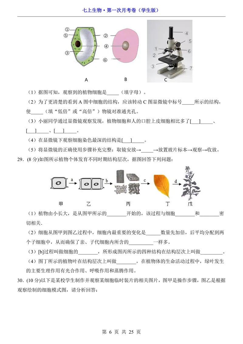 《冀少第1次月考第1-2章_初中全科目《第一次月考试卷》7-9年级上册_2026版初中《第一次月考》7年级上册（八科全套）（人教、北师等多版本）_7年级生物上_冀少版第一次月考》第6页预览