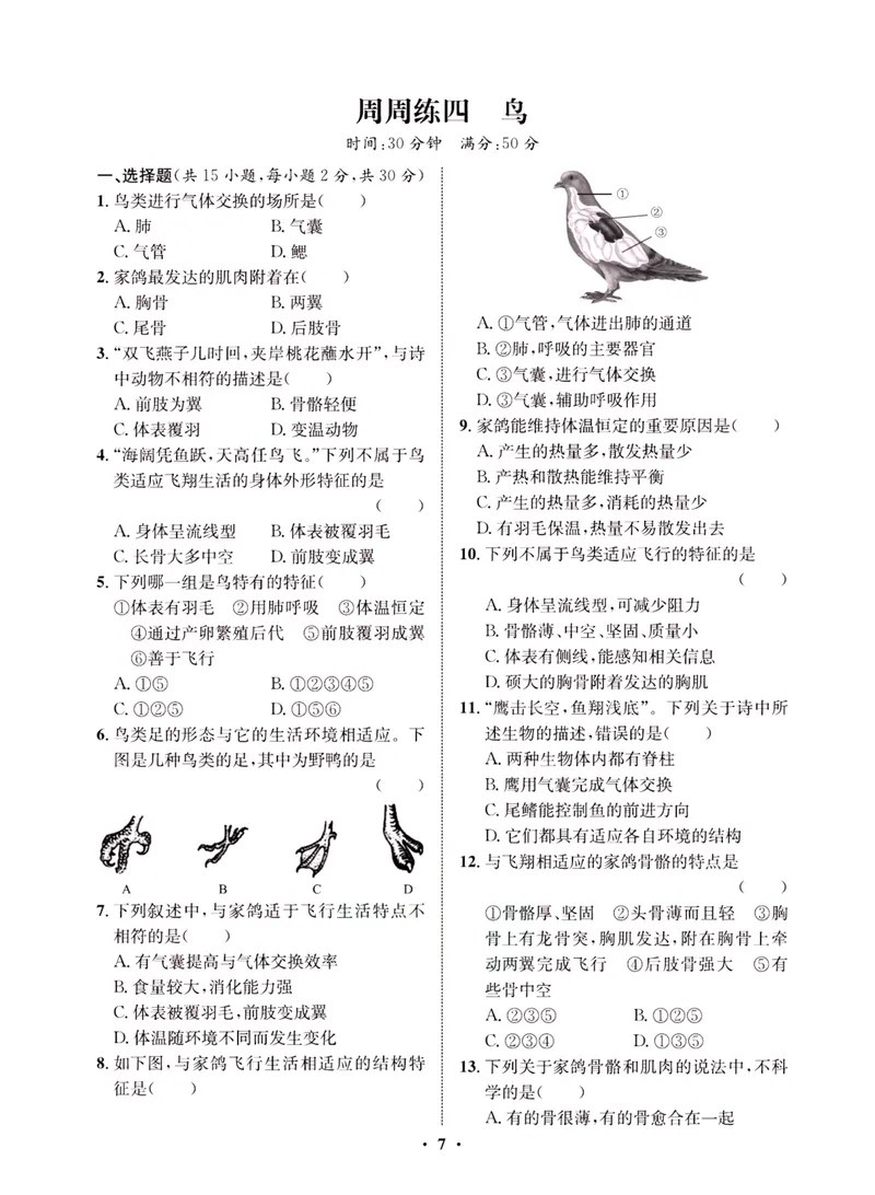 《一卷好题·八年级上册生物人教版·夹册_初中全科目同步习题+精品试卷（7-9年级）_25秋初中生物《同步习题+精品试卷》_初中生物试卷（人教版）_《一卷好题》》第10页预览