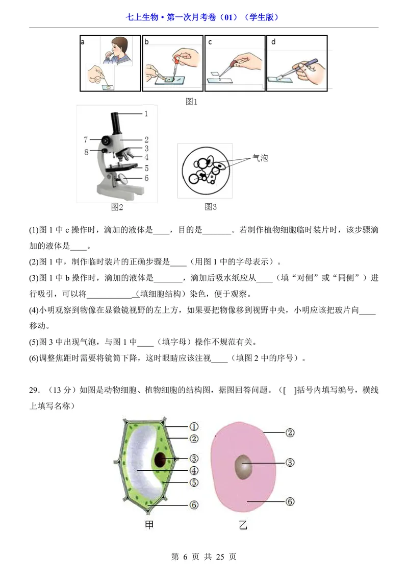 《人教第1次月考01第1单元1-2章_初中全科目《第一次月考试卷》7-9年级上册_2026版初中《第一次月考》7年级上册（八科全套）（人教、北师等多版本）_7年级生物上》第6页预览