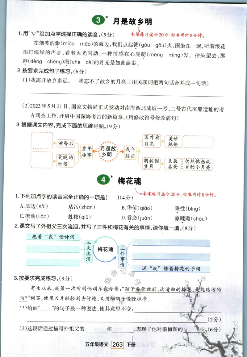 《022.语文状元笔记五年级下册日日练公众号：米妈家长圈_小学1-6年级全科全套_1-6年级全科下册_五年级_其他补充资料_教辅系列_语文资料》第5页预览