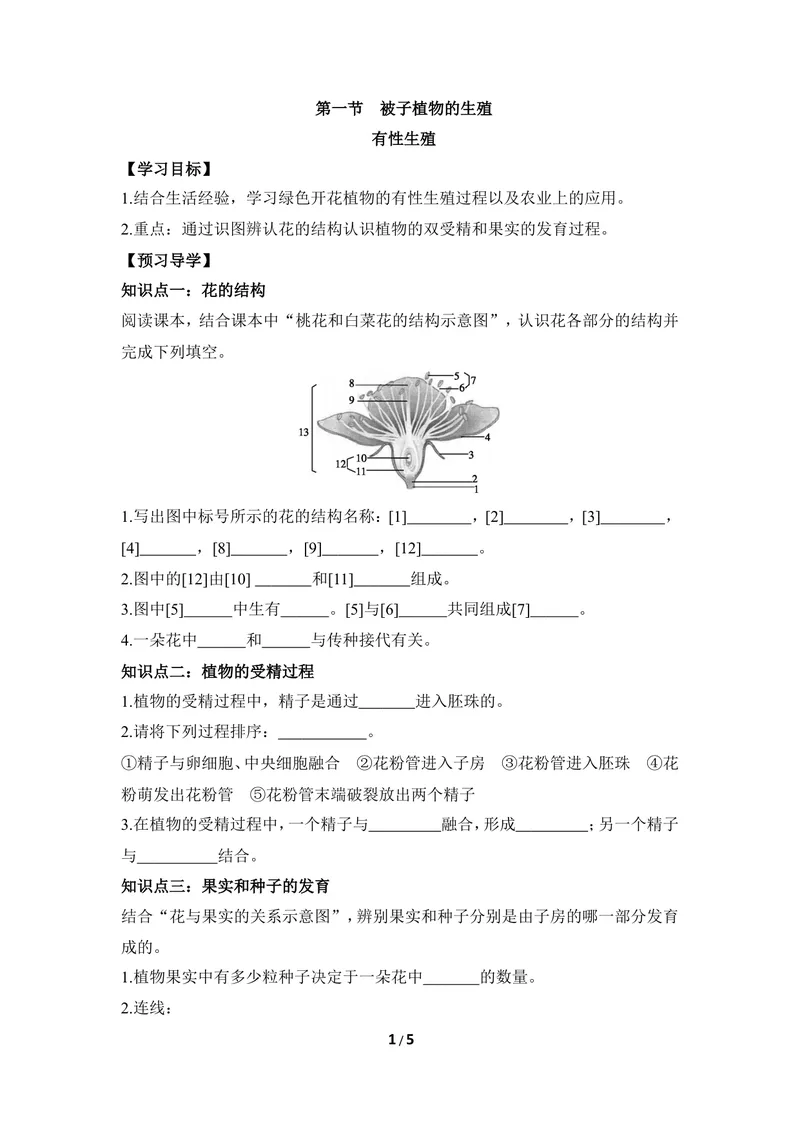 《《被子植物的生殖》第一课时导学案2_初中全科目同步习题+精品试卷（7-9年级）_25秋初中生物《同步习题+精品试卷》_初中生物试卷（冀少版）_《同步练习+教案学案》_八年级下册》第1页预览
