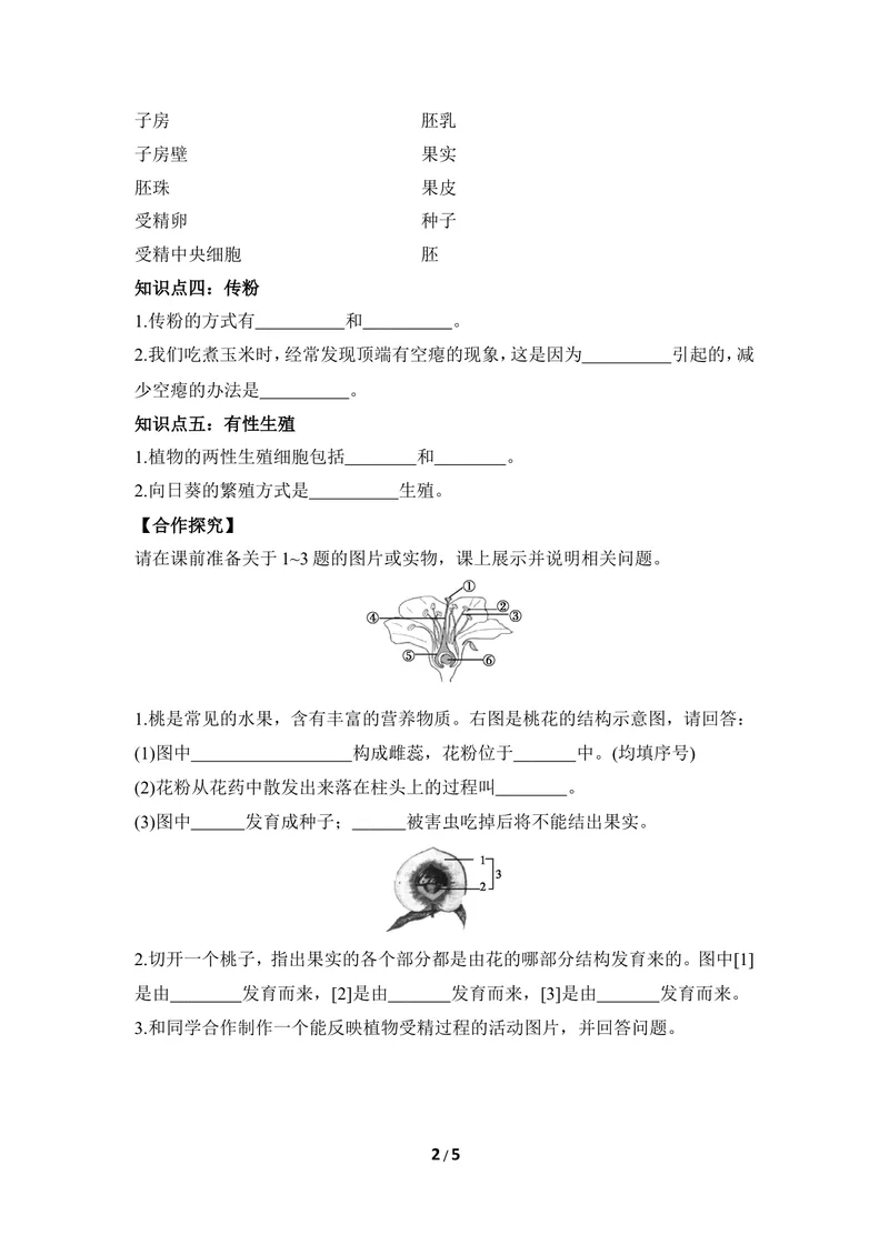 《《被子植物的生殖》第一课时导学案2_初中全科目同步习题+精品试卷（7-9年级）_25秋初中生物《同步习题+精品试卷》_初中生物试卷（冀少版）_《同步练习+教案学案》_八年级下册》第2页预览