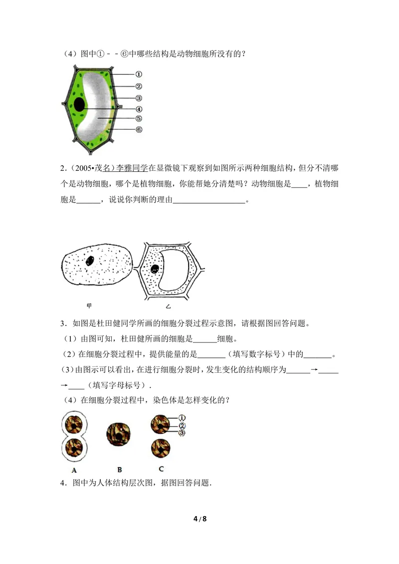 《《生物体的结构层次》章末测试_初中全科目同步习题+精品试卷（7-9年级）_25秋初中生物《同步习题+精品试卷》_初中生物试卷（冀少版）_《同步练习+教案学案》_七年级上册》第4页预览