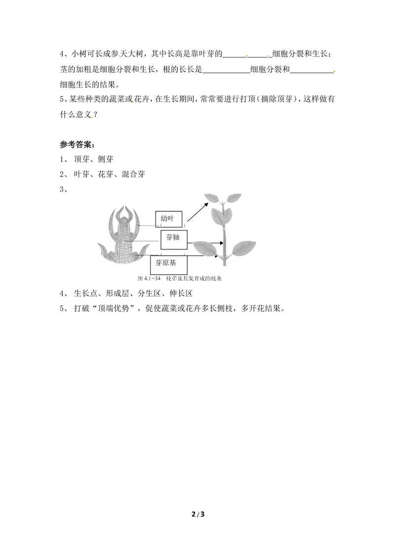 《《芽的发育》随堂检测_初中全科目同步习题+精品试卷(7-9年级)_25秋初中生物《同步习题+精品试卷》_初中生物试卷(冀少版)_《同步练习+教案学案》_八年级上册_第三单元植物的生活》第2页预览