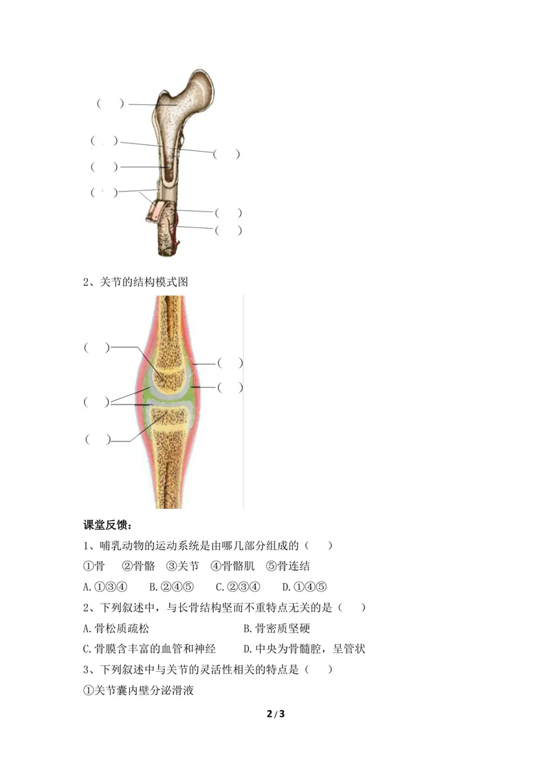 《《运动的基础》参考导学案1_初中全科目同步习题+精品试卷（7-9年级）_25秋初中生物《同步习题+精品试卷》_初中生物试卷（冀少版）_《同步练习+教案学案》_八年级上册_第一章动物的运动》第2页预览