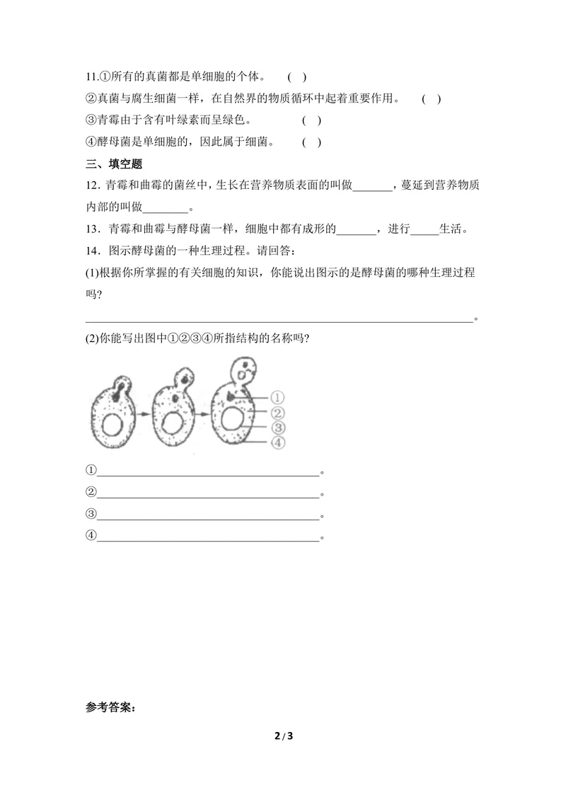 《《酵母菌和霉菌》同步练习_初中全科目同步习题+精品试卷（7-9年级）_25秋初中生物《同步习题+精品试卷》_初中生物试卷（冀少版）_《同步练习+教案学案》_八年级上册_第二章真菌》第2页预览
