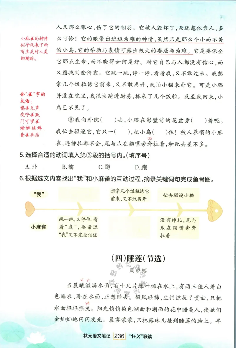 《025.语文状元笔记三年级下册日日练公众号：米妈家长圈_小学1-6年级全科全套_1-6年级全科下册_三年级_其他补充资料_语文资料》第10页预览