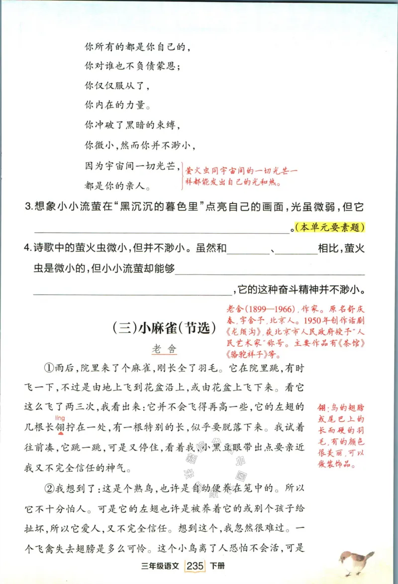 《025.语文状元笔记三年级下册日日练公众号：米妈家长圈_小学1-6年级全科全套_1-6年级全科下册_三年级_其他补充资料_语文资料》第9页预览