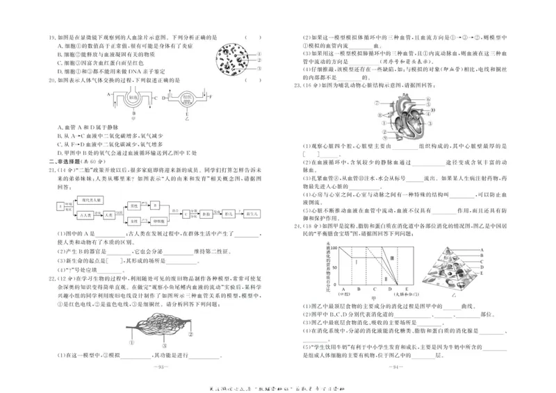 《中华题王七年级下册生物人教版测试卷_初中全科目同步习题+精品试卷（7-9年级）_25秋初中生物《同步习题+精品试卷》_初中生物试卷（人教版）_《中华题王测试卷》》第10页预览