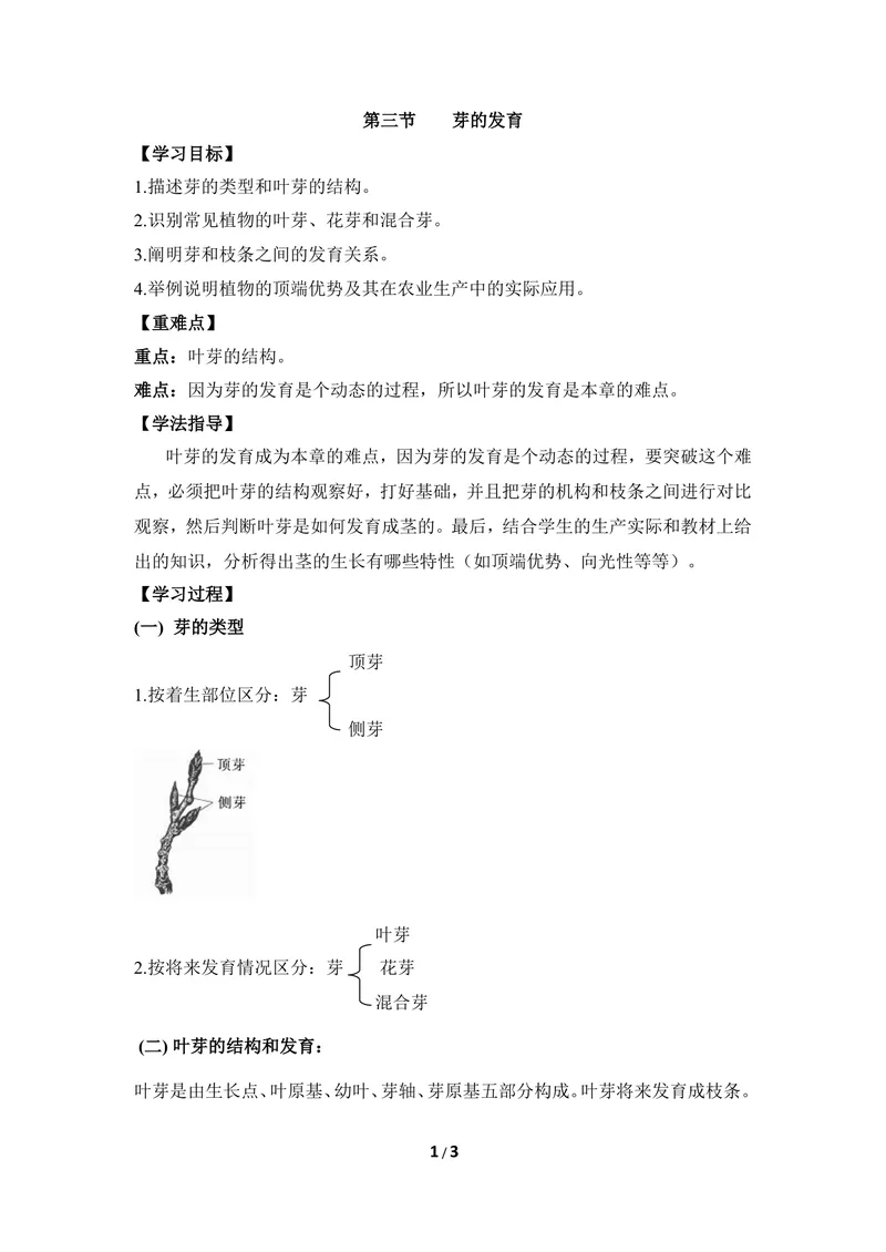 《《芽的发育》导学案_初中全科目同步习题+精品试卷（7-9年级）_25秋初中生物《同步习题+精品试卷》_初中生物试卷（冀少版）_《同步练习+教案学案》_八年级上册_第三单元植物的生活》第1页预览