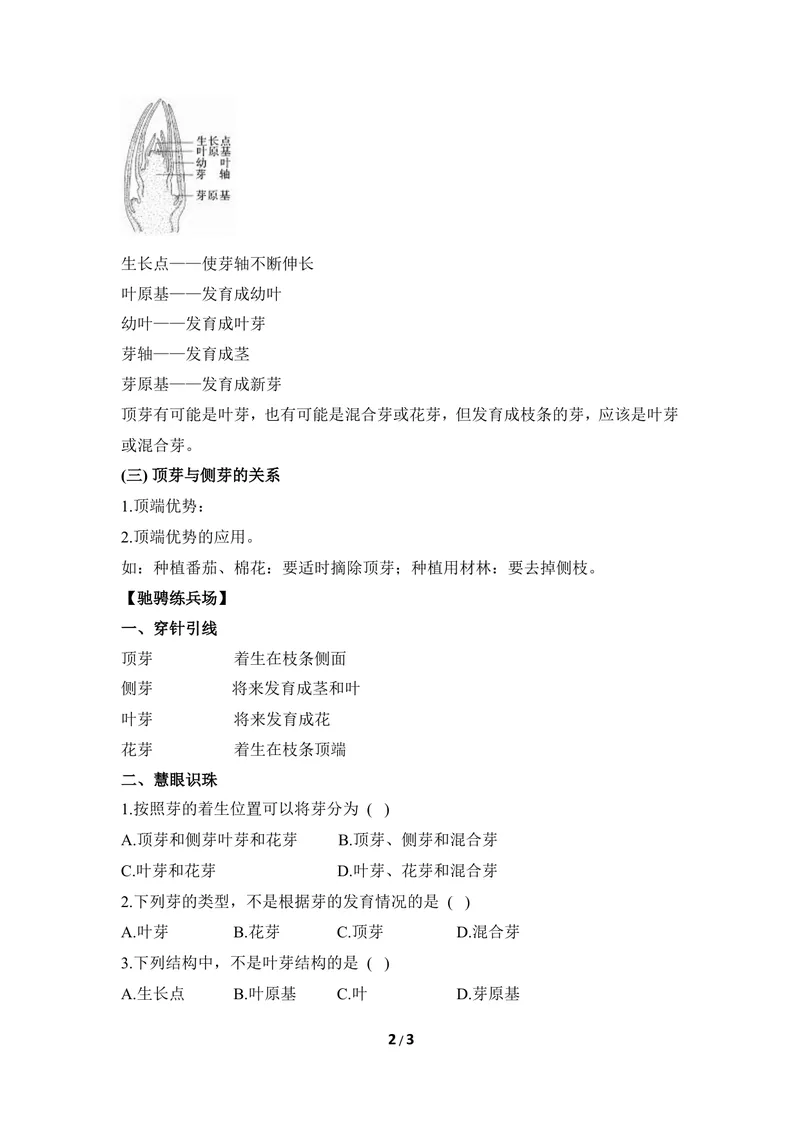 《《芽的发育》导学案_初中全科目同步习题+精品试卷（7-9年级）_25秋初中生物《同步习题+精品试卷》_初中生物试卷（冀少版）_《同步练习+教案学案》_八年级上册_第三单元植物的生活》第2页预览