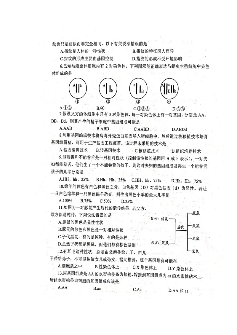 《人教版八年级生物下册单元质量监测(六)(第二章生物的遗传和变异)(扫描版)_初中全科目同步习题+精品试卷(7-9年级)_25秋初中生物《同步习题+精品试卷》_初中生物试卷(北师大)》第2页预览
