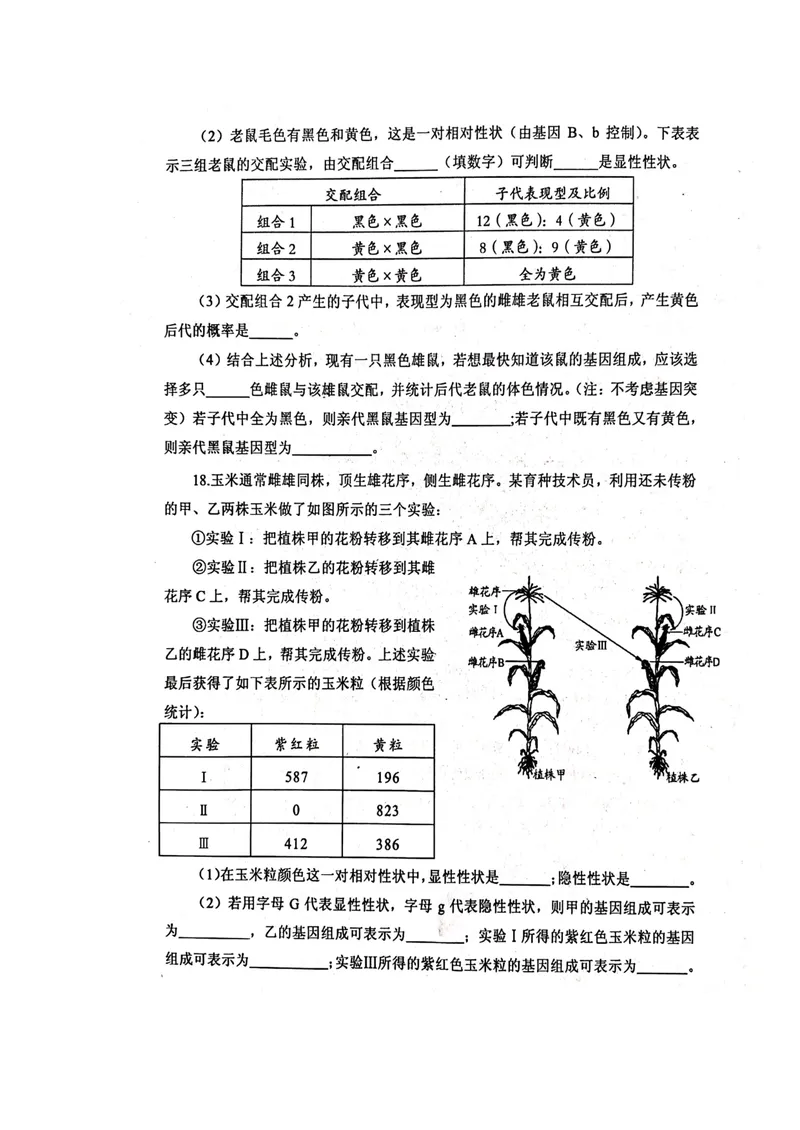 《人教版八年级生物下册单元质量监测(六)(第二章生物的遗传和变异)(扫描版)_初中全科目同步习题+精品试卷(7-9年级)_25秋初中生物《同步习题+精品试卷》_初中生物试卷(北师大)》第4页预览
