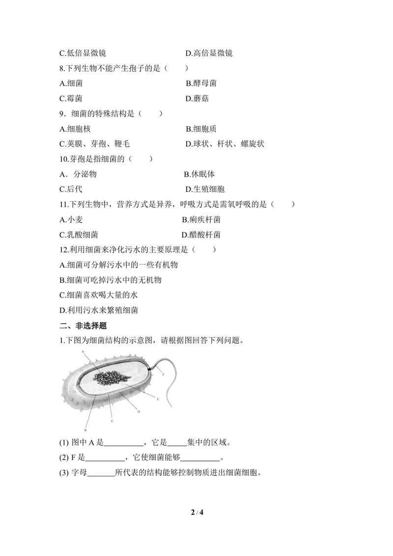 《《细菌》同步练习1_初中全科目同步习题+精品试卷（7-9年级）_25秋初中生物《同步习题+精品试卷》_初中生物试卷（冀少版）_《同步练习+教案学案》_八年级上册_第五单元微生物的生活》第2页预览