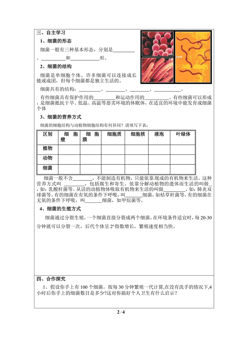 《《细菌》导学案_初中全科目同步习题+精品试卷（7-9年级）_25秋初中生物《同步习题+精品试卷》_初中生物试卷（冀少版）_《同步练习+教案学案》_八年级上册_第五单元微生物的生活》第2页预览