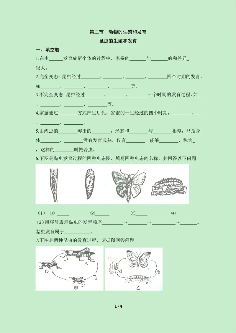 《《昆虫的生殖和发育》课堂训练_初中全科目同步习题+精品试卷（7-9年级）_25秋初中生物《同步习题+精品试卷》_初中生物试卷（冀少版）_《同步练习+教案学案》_八年级下册》第1页预览