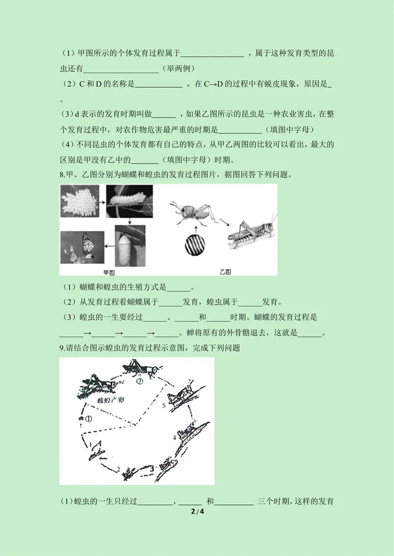 《《昆虫的生殖和发育》课堂训练_初中全科目同步习题+精品试卷（7-9年级）_25秋初中生物《同步习题+精品试卷》_初中生物试卷（冀少版）_《同步练习+教案学案》_八年级下册》第2页预览
