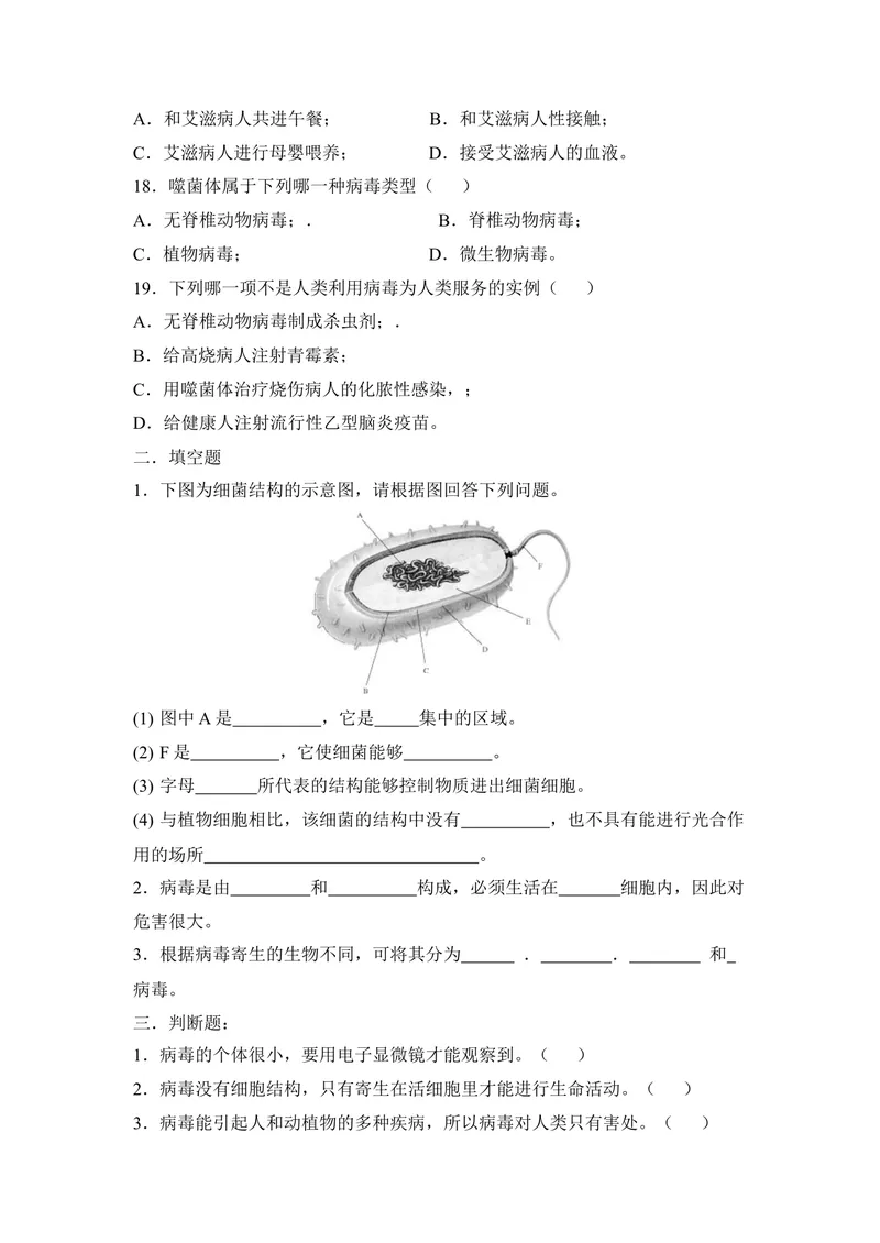 《《细菌和病毒》章末测试_初中全科目同步习题+精品试卷（7-9年级）_25秋初中生物《同步习题+精品试卷》_初中生物试卷（冀少版）_《同步练习+教案学案》_八年级上册_第一章细菌和病毒》第3页预览