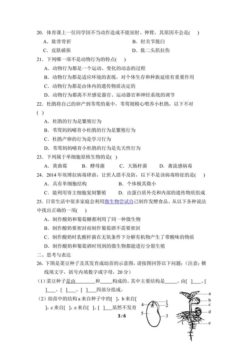 《冀少版八年级生物上册期末试卷2_初中全科目同步习题+精品试卷（7-9年级）_25秋初中生物《同步习题+精品试卷》_初中生物试卷（冀少版）_《同步练习+教案学案》_八年级上册》第3页预览