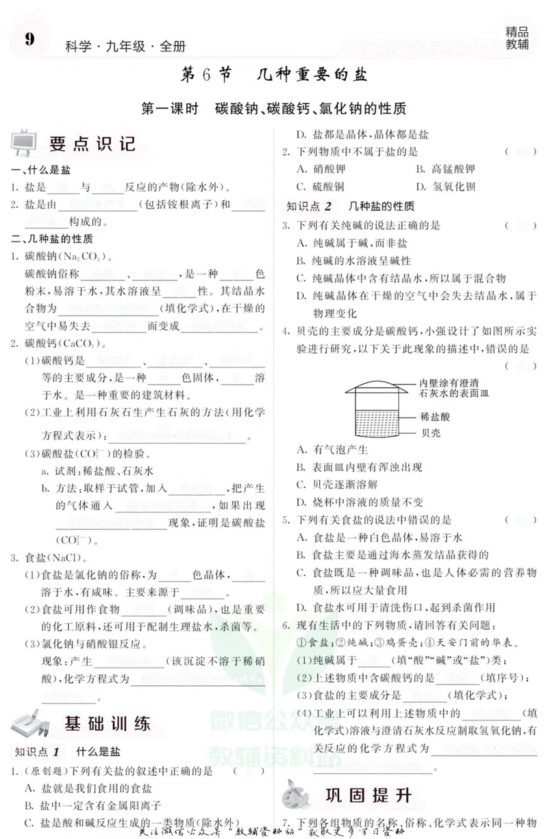 《《课堂内外》九年级全册科学浙江专版A本去答案版_初中全科目同步习题+精品试卷（7-9年级）_25秋初中科学《同步习题+精品试卷》_《课堂内外》》第10页预览
