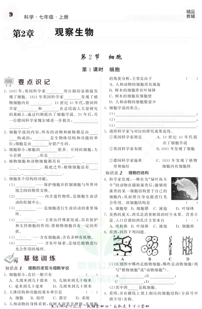 《《课堂内外》七年级上册科学浙教版B本去答案版_初中全科目同步习题+精品试卷（7-9年级）_25秋初中科学《同步习题+精品试卷》_《课堂内外》》第10页预览