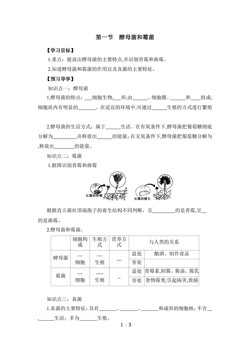 《《酵母菌和霉菌》导学案1_初中全科目同步习题+精品试卷（7-9年级）_25秋初中生物《同步习题+精品试卷》_初中生物试卷（冀少版）_《同步练习+教案学案》_八年级上册_第二章真菌》第1页预览