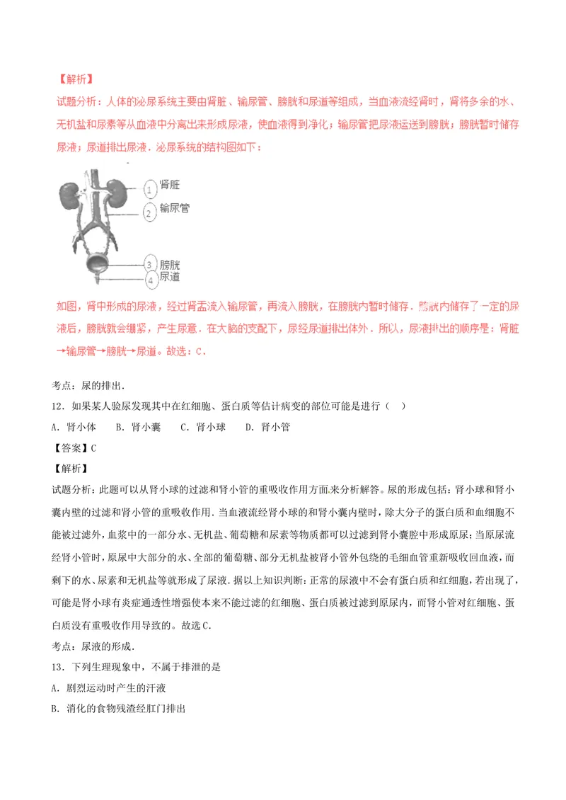 《人体内废物的排出_初中全科目同步习题+精品试卷（7-9年级）_25秋初中生物《同步习题+精品试卷》_初中生物试卷（北师大）_《单元试卷》_单元试卷7B_第五章人体内废物的排出_单元检测》第7页预览