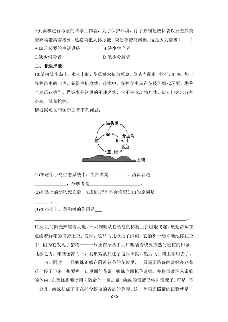 《《生态系统的组成和类型》同步练习_初中全科目同步习题+精品试卷（7-9年级）_25秋初中生物《同步习题+精品试卷》_初中生物试卷（冀少版）_《同步练习+教案学案》_八年级下册》第2页预览