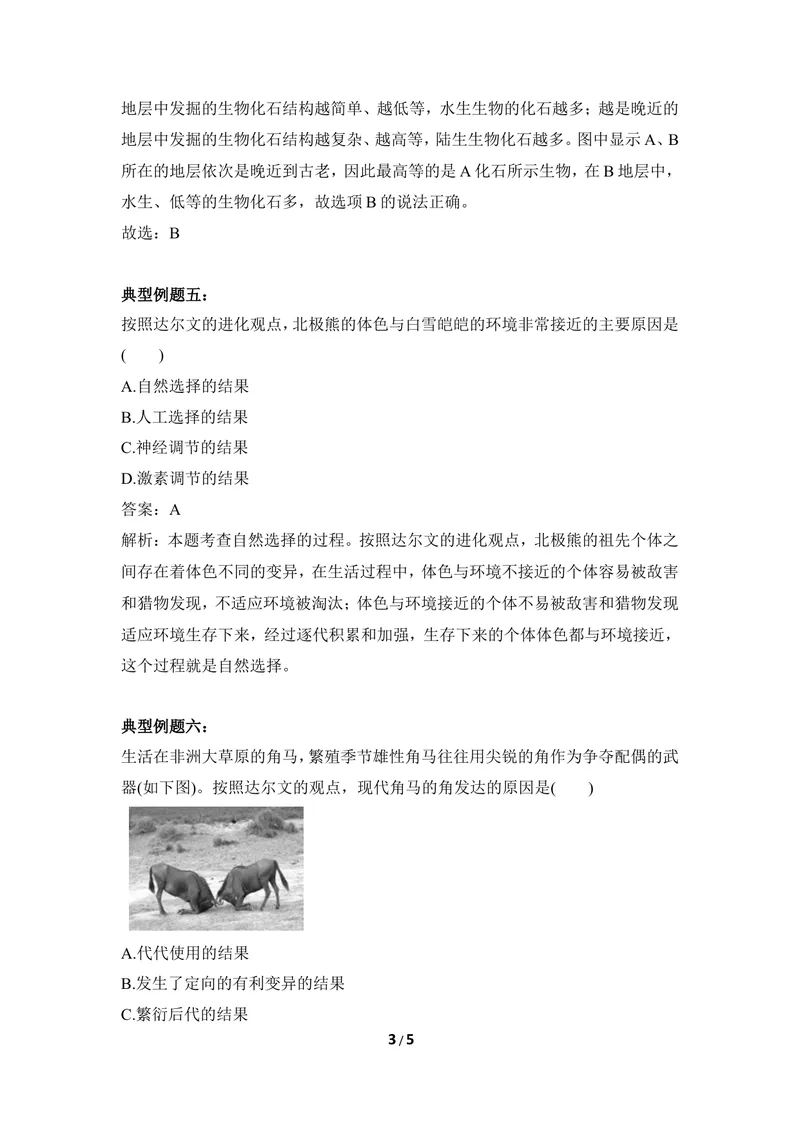 《《生物的进化》例题解析_初中全科目同步习题+精品试卷（7-9年级）_25秋初中生物《同步习题+精品试卷》_初中生物试卷（冀少版）_《同步练习+教案学案》_八年级下册》第3页预览