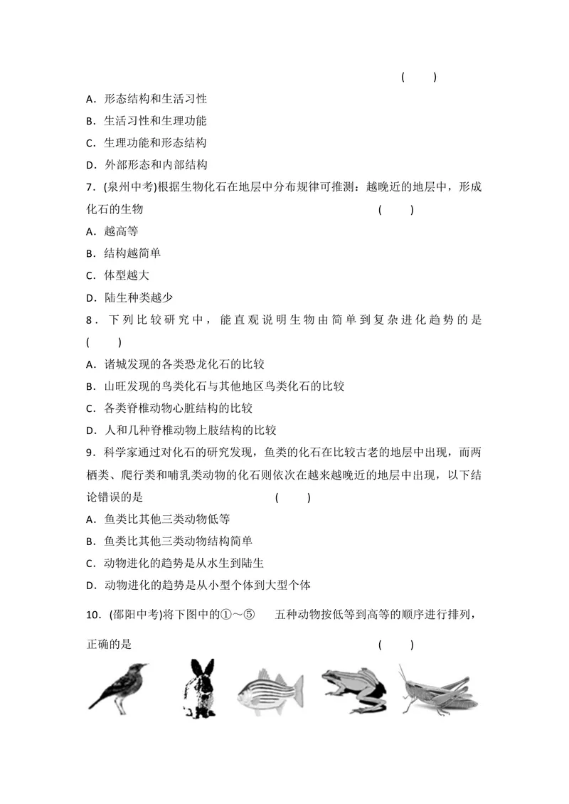 《人教版八年级下册生物7.3.2生物进化的历程同步练习_初中全科目同步习题+精品试卷（7-9年级）_25秋初中生物《同步习题+精品试卷》_初中生物试卷（北师大）_《单元试卷》_单元试卷8B》第2页预览
