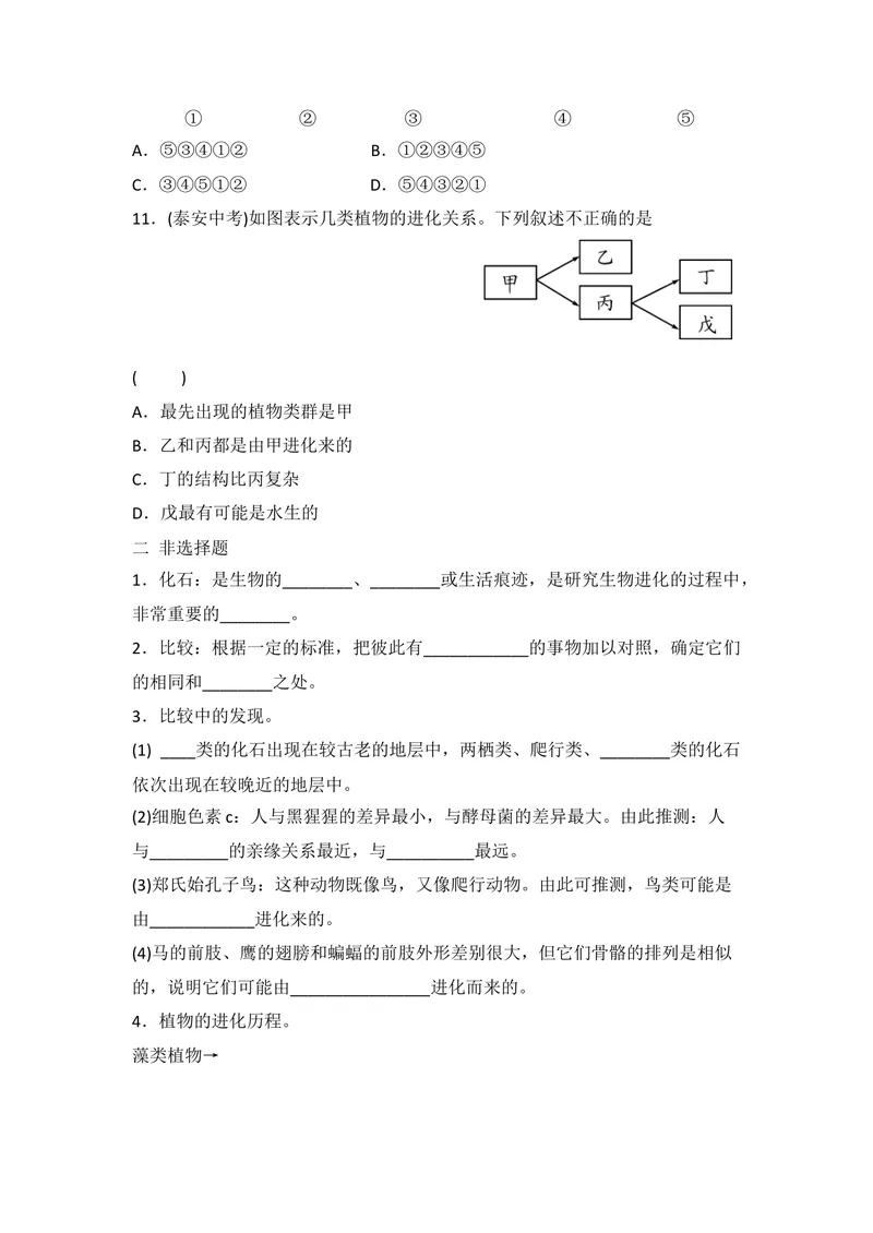 《人教版八年级下册生物7.3.2生物进化的历程同步练习_初中全科目同步习题+精品试卷（7-9年级）_25秋初中生物《同步习题+精品试卷》_初中生物试卷（北师大）_《单元试卷》_单元试卷8B》第3页预览