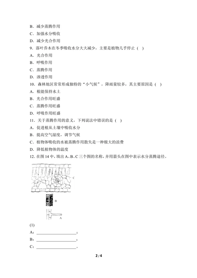 《《蒸腾作用》同步练习_初中全科目同步习题+精品试卷（7-9年级）_25秋初中生物《同步习题+精品试卷》_初中生物试卷（冀少版）_《同步练习+教案学案》_八年级上册_第三单元植物的生活》第2页预览