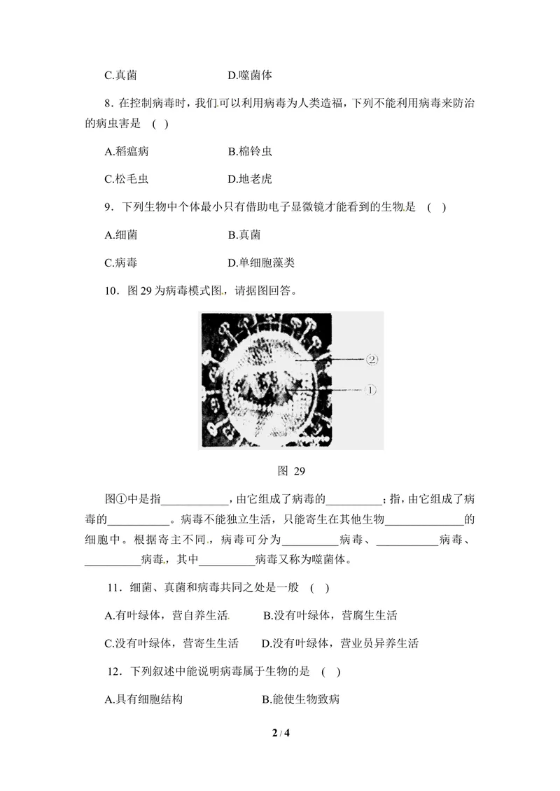 《《病毒》同步练习_初中全科目同步习题+精品试卷（7-9年级）_25秋初中生物《同步习题+精品试卷》_初中生物试卷（冀少版）_《同步练习+教案学案》_八年级上册_第五单元微生物的生活》第2页预览