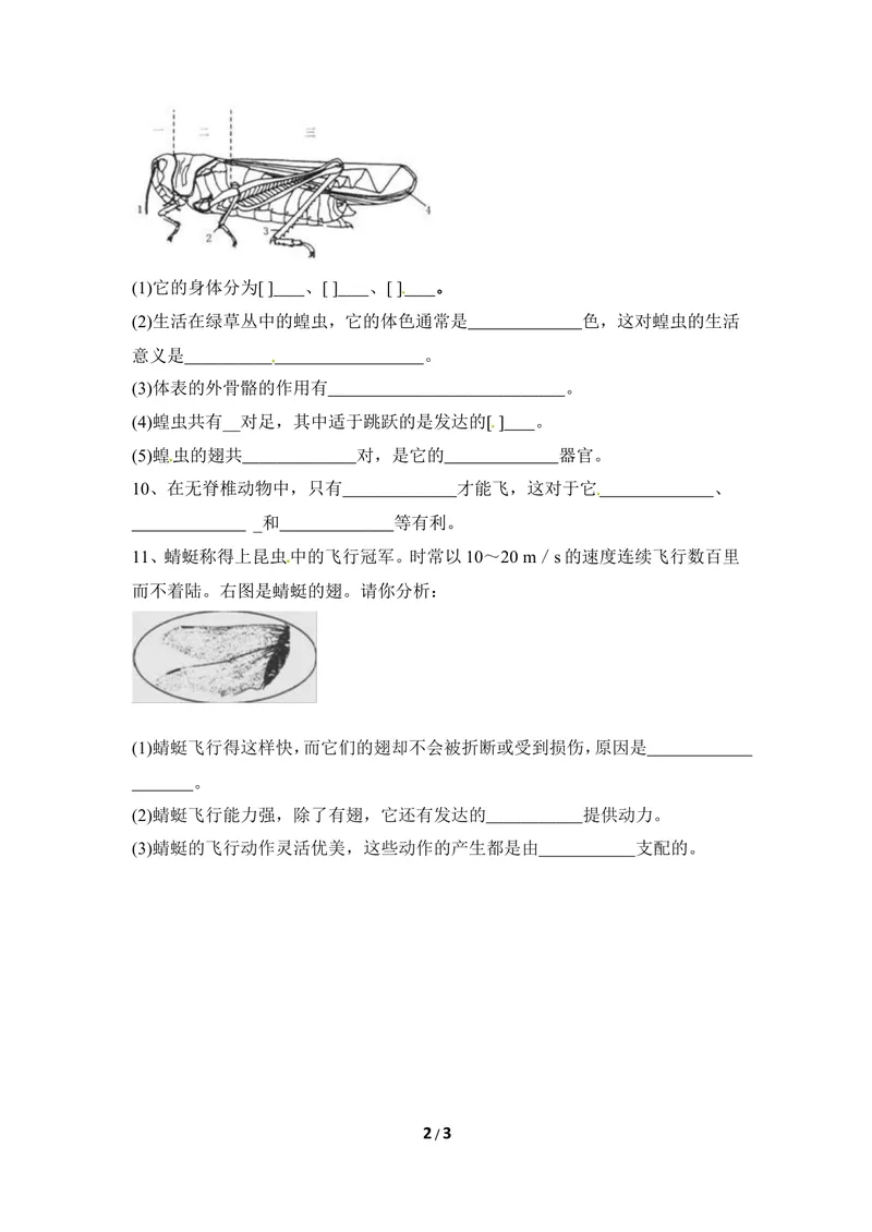 《《节肢动物》同步练习1_初中全科目同步习题+精品试卷（7-9年级）_25秋初中生物《同步习题+精品试卷》_初中生物试卷（冀少版）_《同步练习+教案学案》_七年级上册_第四章多种多样的动物》第2页预览