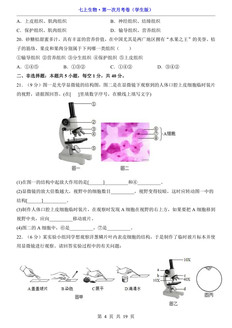 《苏教第1次月考1.1-2.1_初中全科目《第一次月考试卷》7-9年级上册_2026版初中《第一次月考》7年级上册（八科全套）（人教、北师等多版本）_7年级生物上_苏教版第一次月考》第4页预览